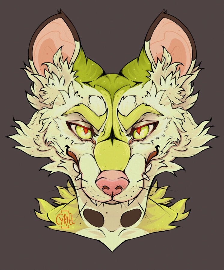 Symmetrical Headshot